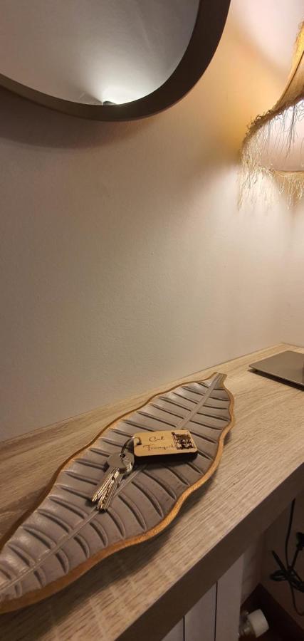 Cal Tranquil Camprodon, Acollidor Atic Al Centre Exterior foto