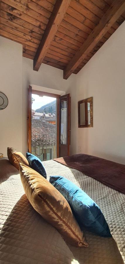 Cal Tranquil Camprodon, Acollidor Atic Al Centre Exterior foto